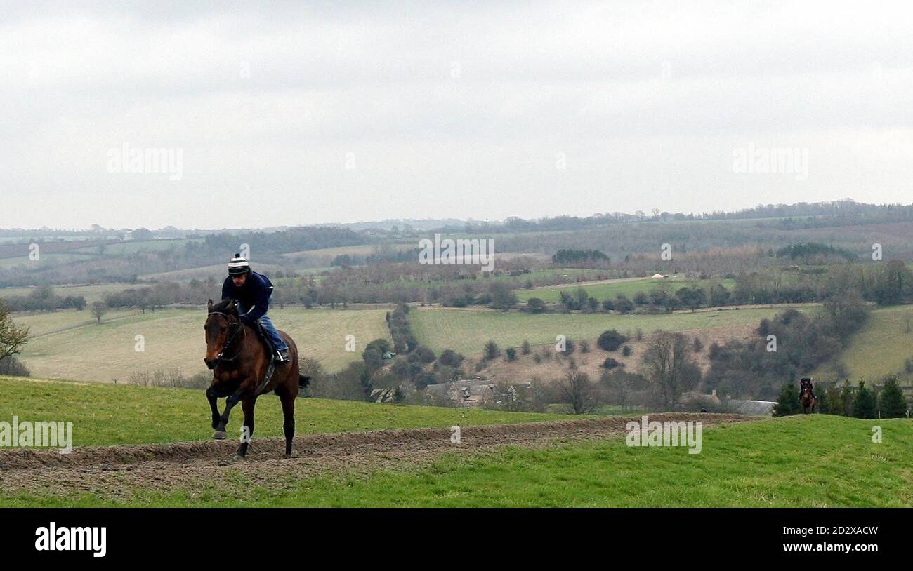 Kaiserlicher Befehlshaber übt während des Stallbesuchs in den Ställen von Nigel twiston-Davies auf der Grange Hill Farm, Cheltenham. Stockfoto