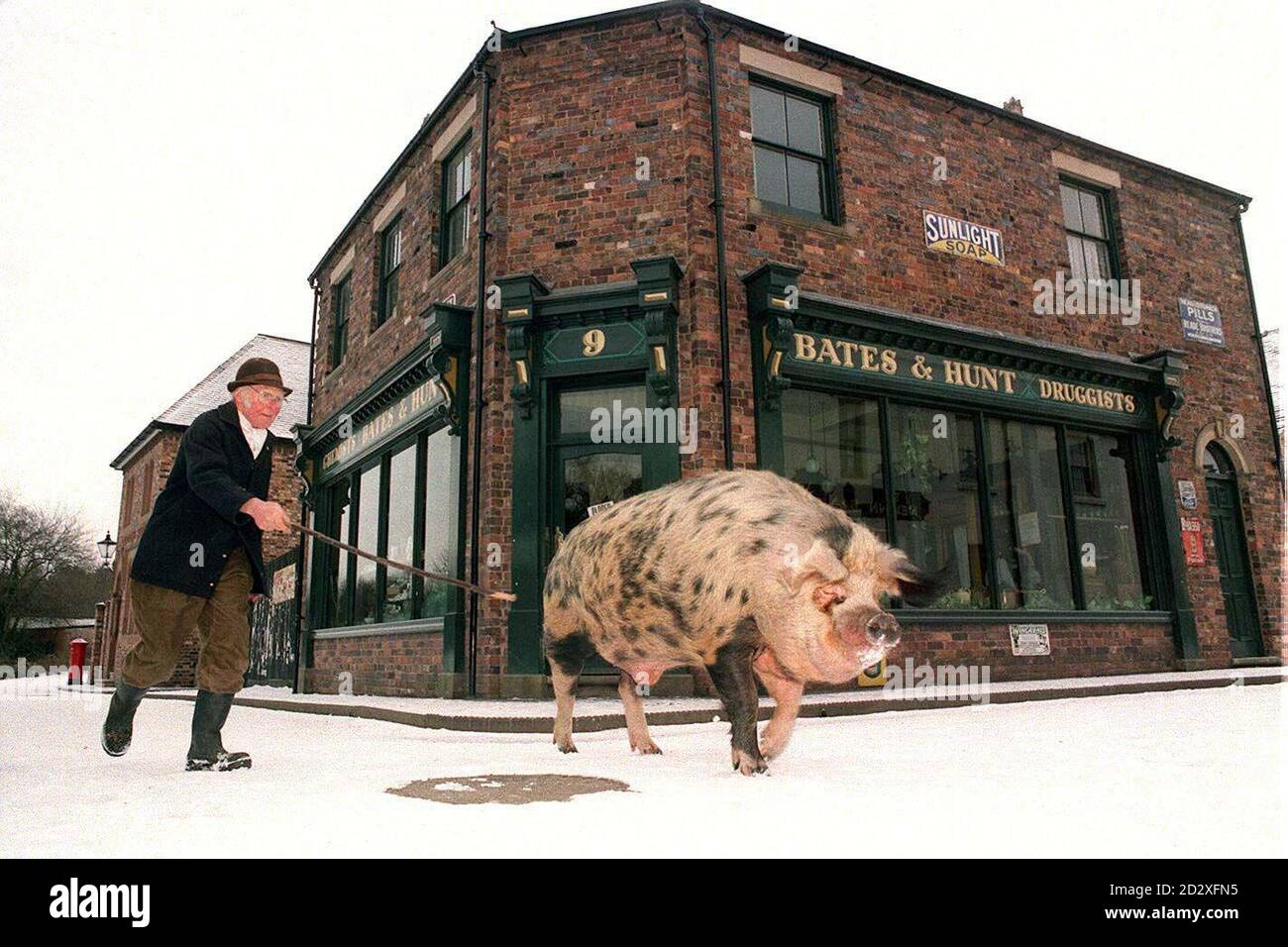 Der Viehhalter Joe Bowen vom funktionierenden viktorianischen Museum in Blists Hill, Iron Bridge, Shropshire, nimmt Horace, das sandige und schwarze Schwein aus Oxford, für seine tägliche Verfassung. PA-Fotos. Stockfoto