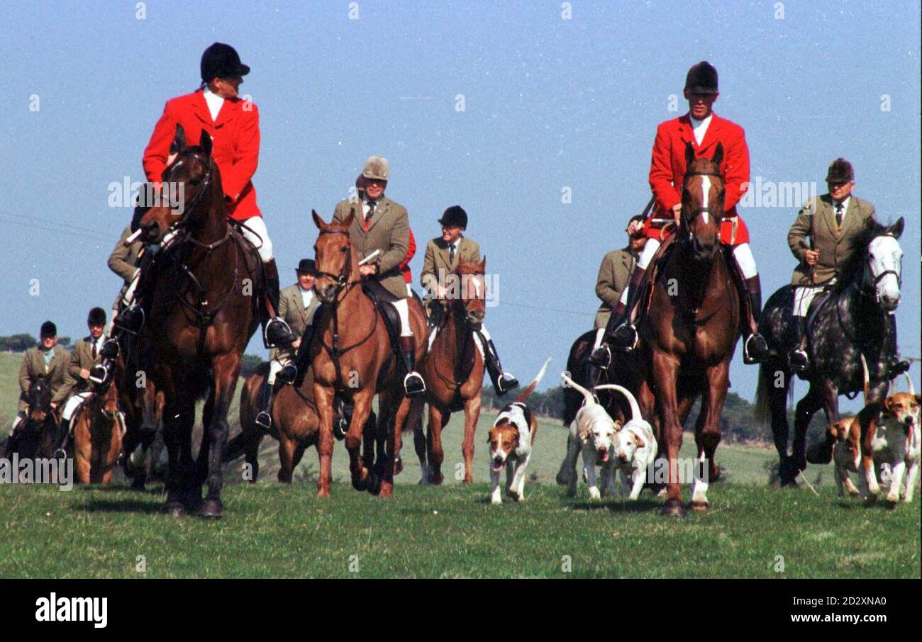 Die Devon und Somerset Stag Hounds out für einen Tag Sport auf Exmoor, Nr Porlock in Somerset heute (Donnerstag) - nur wenige Stunden, bevor der National Trust entscheidet, ob sie von Tausenden von Hektar zu verbieten. Siehe PA Story SOCIAL Hunting. PA-Fotos Stockfoto