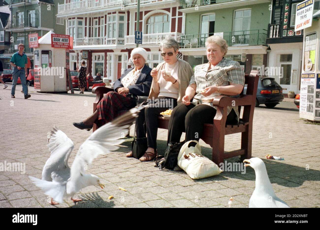 Möwen teilen sich heute (Donnerstag) das Mittagessen mit (L-R) Lilian Tucker, von Kingsbridge, Jean Wood und Mary Akester, beide von Barton auf Humber, im sonnigen Dartmouth, während die Temperaturen für einen weiteren sengenden Tag in die 70er Jahre steigen. Siehe PA Story WETTERTEMPERATUREN. Foto Barry Batchelor/PA Stockfoto