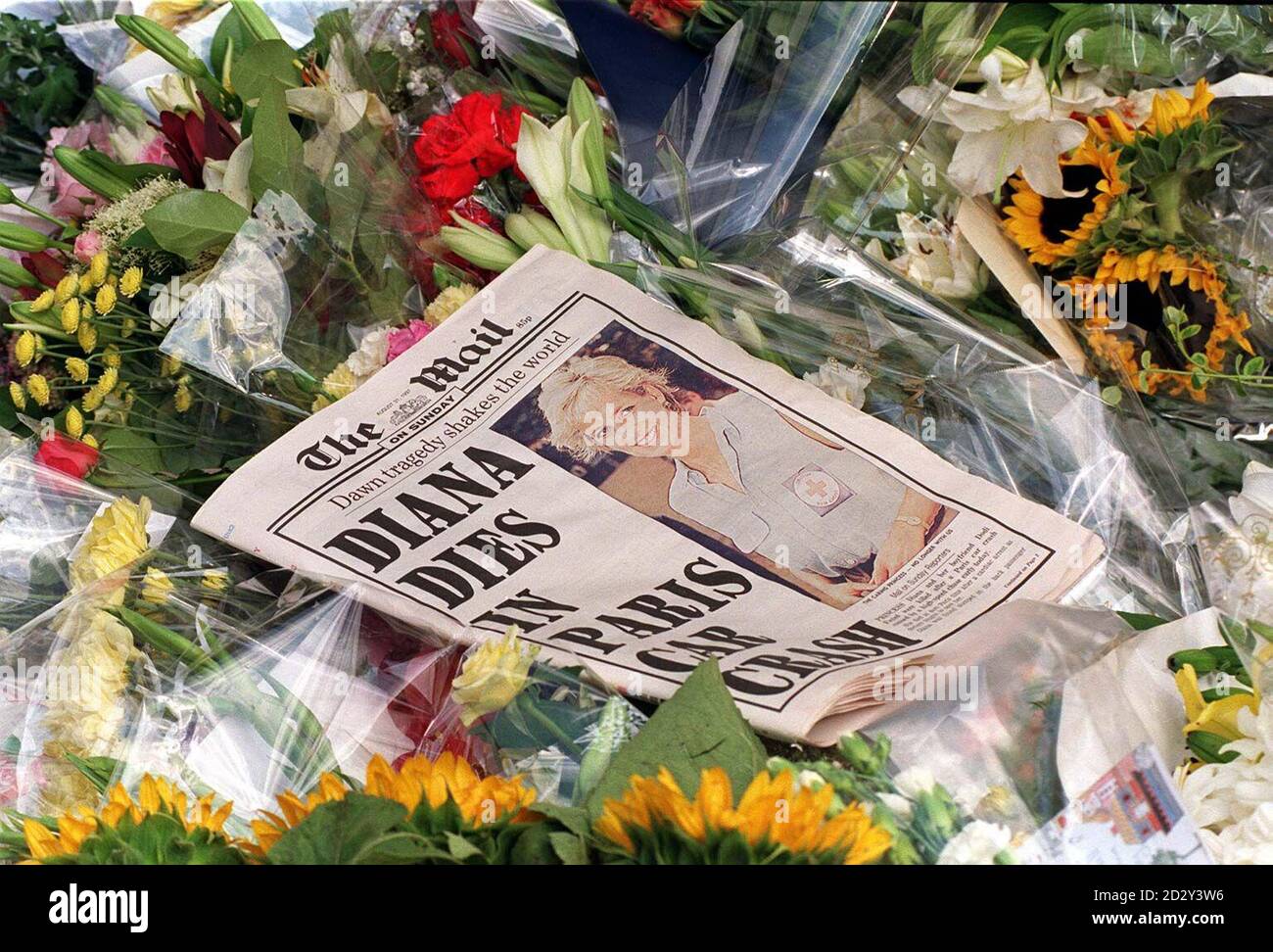 Die tragische Schlagzeile auf The Mail on Sunday liegt inmitten der Hunderte von Blumensträußen, die vor den Toren des Kensington Palace in London übrig geblieben sind - Diana, die formelle Residenz der Prinzessin von Wales. Die Prinzessin wurde zusammen mit ihrem Freund Dodi Fayed und ihrem Fahrer getötet, als ihr Auto in Paris in einen Hochgeschwindigkeitsunfall verwickelt war. Stockfoto