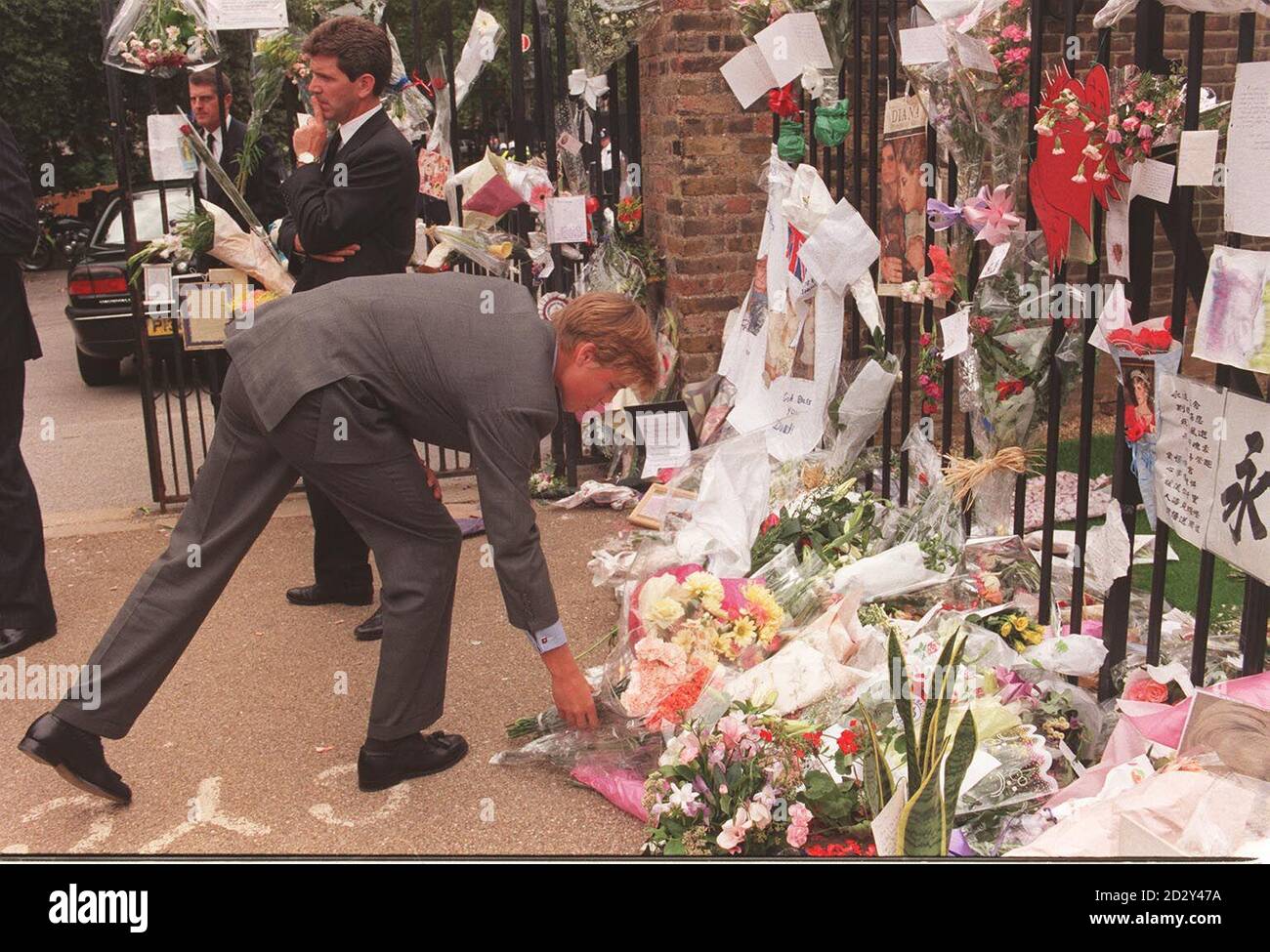 Prinz William legt einen Blumenstrauß mit den Hunderten Tributes, die bereits außerhalb der offiziellen Residenz seiner Mutter - Diana, Prinzessin von Wales - im Kensington Palace in London gelegt wurden. Der Prinz war aus Balmoral nach London gekommen, um die Prinzessin in der Westminster Abbey zu begräbnis. Stockfoto