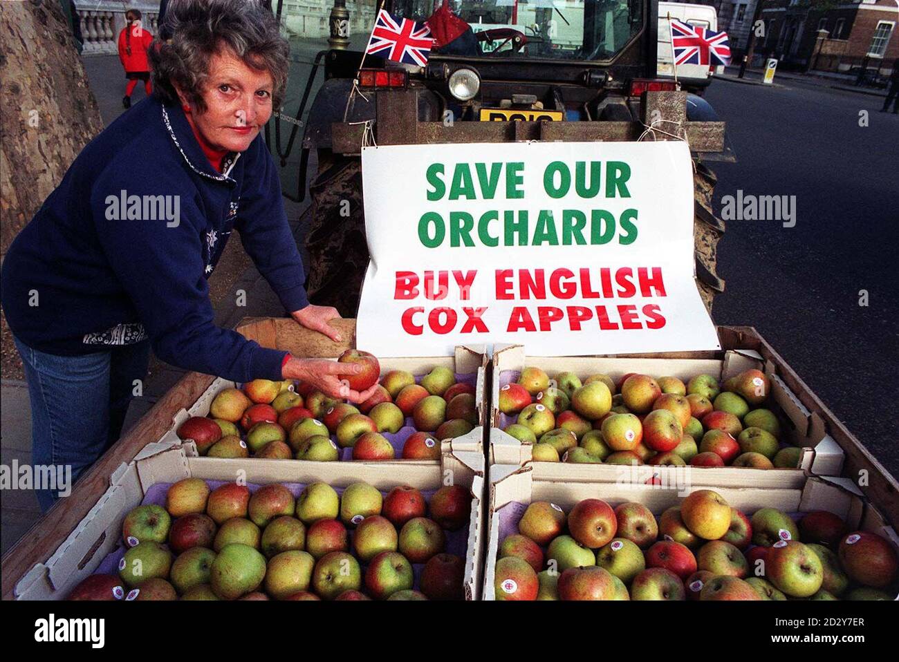 Faith Tippett aus Colchester mit ihren englischen Cox-Äpfeln ist heute (Dienstag) in London, wie die Bauern behaupten, dass sie ihr schlimmstes Jahr aller Zeiten erleben müssen, nachdem sie von einer Reihe von Katastrophen heimgesucht wurden. Die unfreundlichen Wetterbedingungen Anfang dieses Jahres brachten die niedrigste Ernte seit 1934, wobei nur die Hälfte der üblichen Anzahl an Äpfeln gesammelt wurde. Aber der heiße, nasse Sommer brachte sehr süße Äpfel, die jetzt köstlich schmecken, aber im Winter nicht mehr gut lagern werden. Züchter hoffen, heute den National Apple Day nutzen zu können, um auf ihre Notlage aufmerksam zu machen und Shops und Käufer dazu zu drängen, englische Cox's zu fördern. Siehe PA Story C Stockfoto