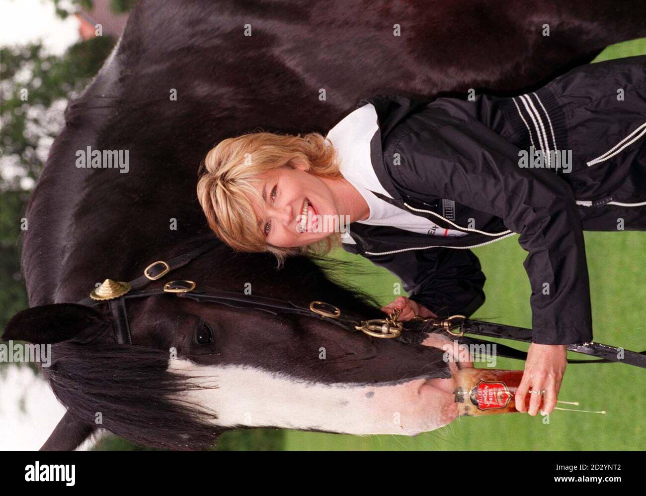 TV-Moderatorin Anthea Turner gibt Shire Horse Pride heute (Sonntag) zu Beginn des von Hammer Cancer gesponserten Six Mile Walk in London ein Pint London Pride. Die von London Pride gesponserte Wohltätigkeitsorganisation sammelt Geld für die Krebsforschung. Foto von Andrew Stuart/PA. Stockfoto