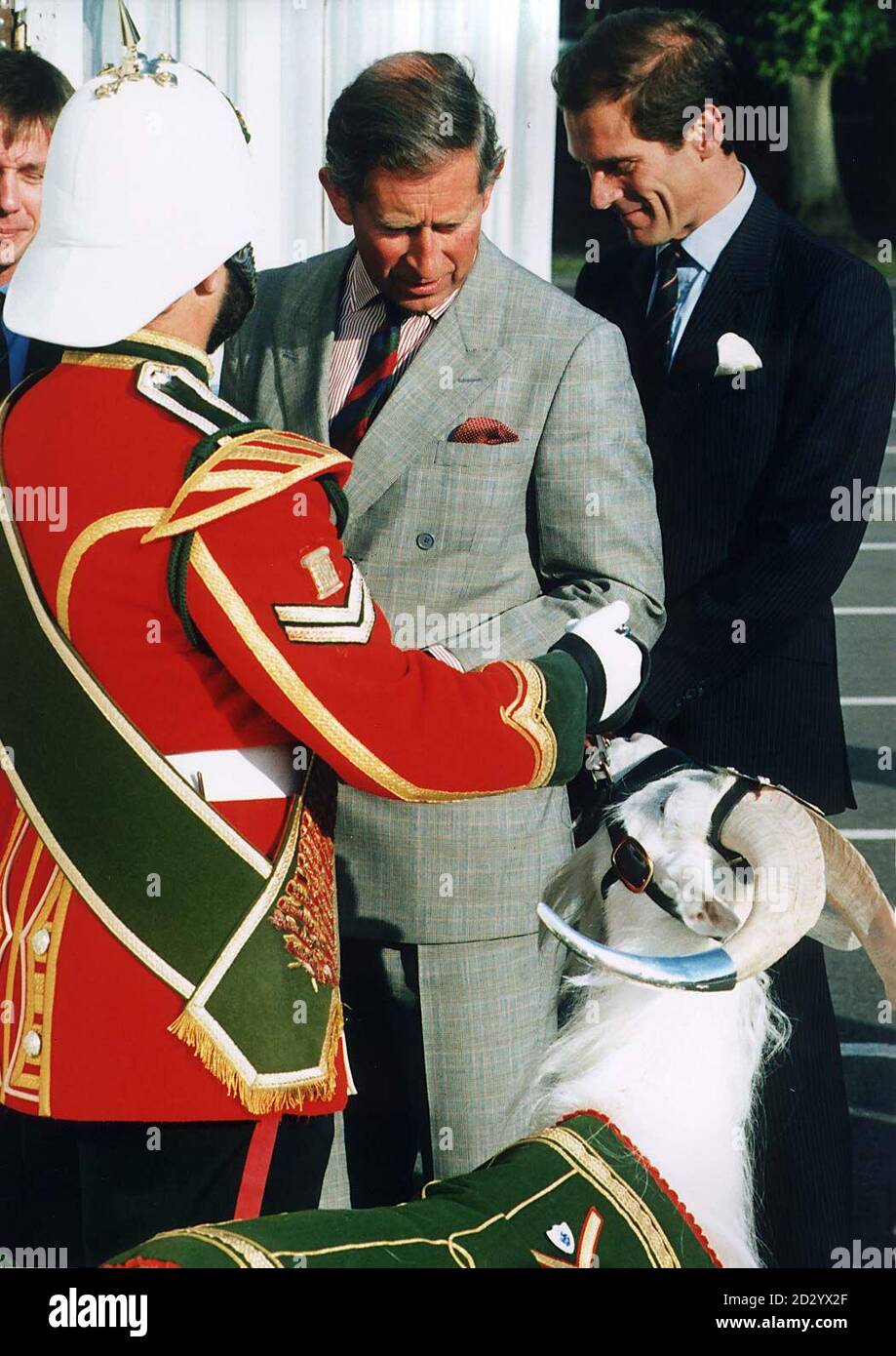 Der Prinz von Wales trifft L/CPL Shankin das Ziegenmaskottchen des 2. Bataillons Royal Wales Regiment (Territorial Bataillon) mit Handler Goat Major CPL Dave Joseph BEM, als der Prinz an diesem Abend (Freitag) am Dinner der Welsh Development Agency für Investoren in Cardiff teilnahm. PA-Fotos (Rota Pic) Stockfoto