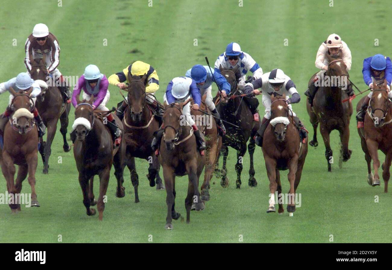 Land of Dreams geritten von Darryl Holland (Mitte, blaue Ärmel, hellblauer Hut) kommt in die King George Grosvenor Casinos Stakes zu gewinnen, in Goodwood heute Nachmittag (Dienstag). Foto von Adam Butler/PA Stockfoto