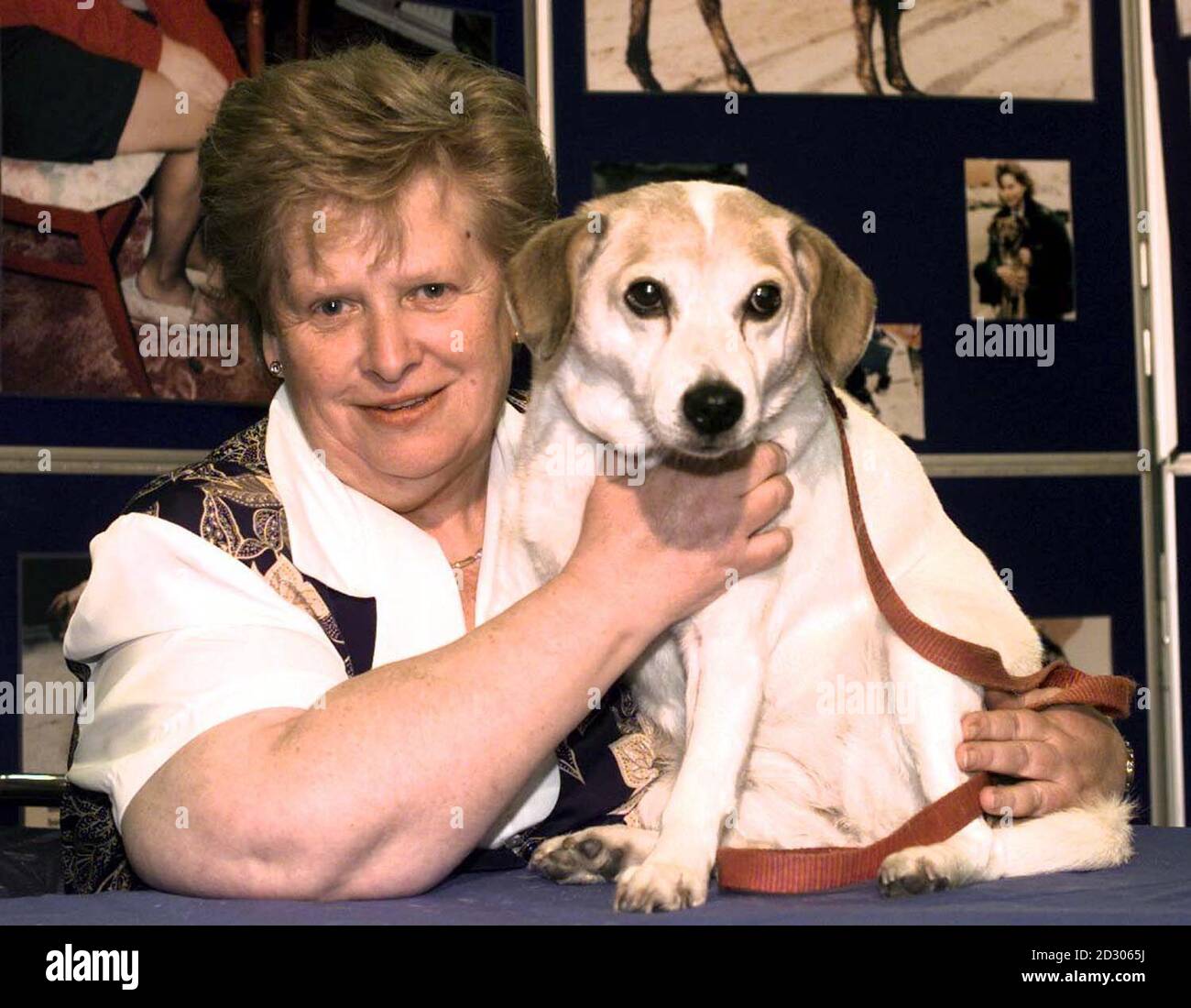 Pippa mit neuem Besitzer, Hazel Dean von Burton Staff in Birmingham. Pippa war nur 6.5 kg, als sie von der RSPCA in einem Nebengebäude in Tamworth gefunden wurde, wo sie von einem früheren Besitzer verhungert wurde.Sie litt an Unterernährung, Dehydrierung und Flöhen. * Ihre früheren Besitzer behaupteten, dass sie 16 Jahre alt war, aber bei der Inspektion wurde festgestellt, dass sie näher an neun Jahren war, sie wurden von der Haltung von Katzen und Hunden für 10 Jahre verboten, angeordnet, 120 Stunden Gemeinschaftsdienst zu tun und 75 auf die RSPCA Kosten zu zahlen. Stockfoto