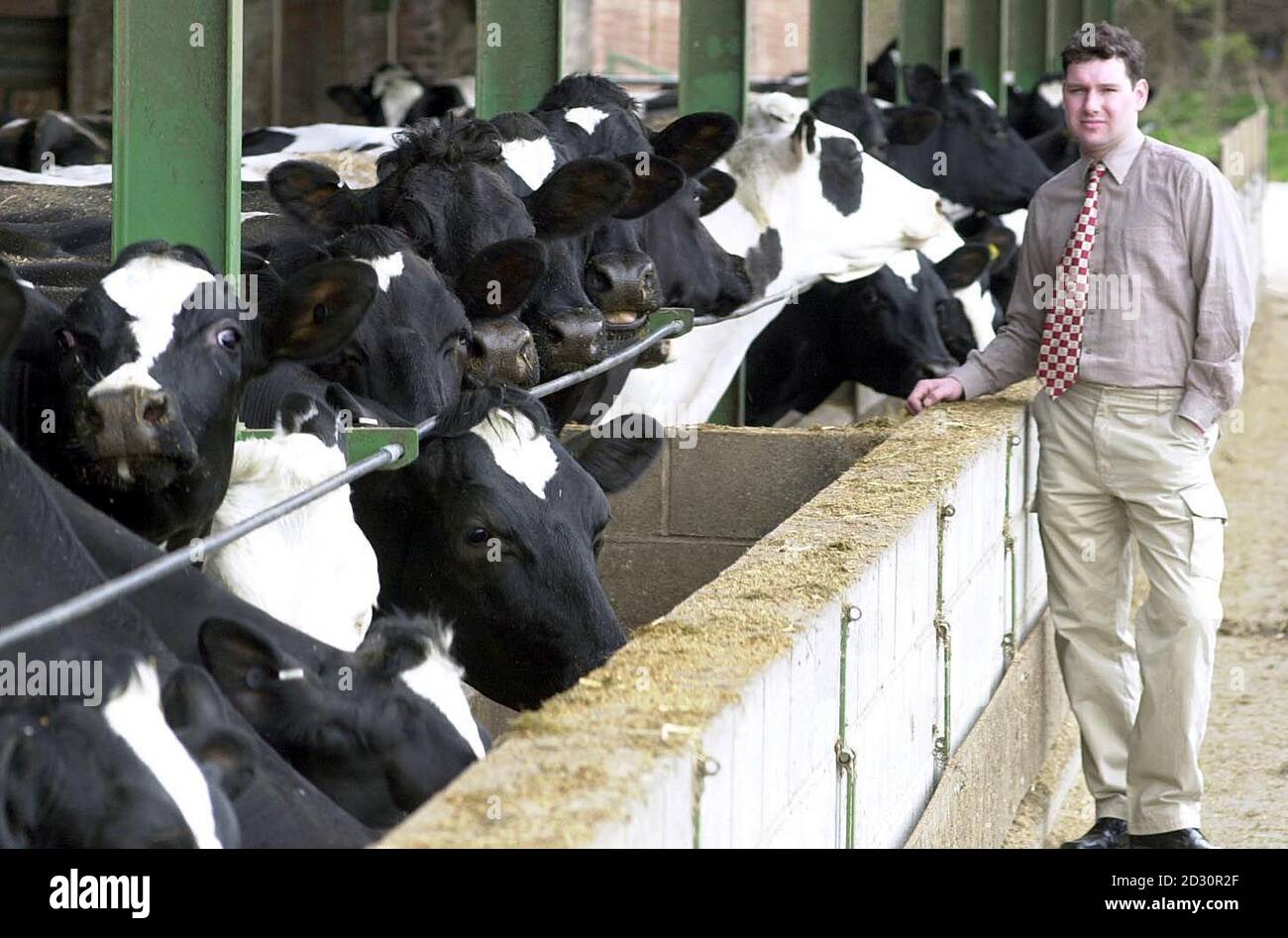 Farm Manager Richard Walters bei der Ampleforth Abbey Dairy Herd, Ampleforth Abbey in North Yorkshire. Der Betrieb hat beschlossen, seine Milcheinheit zu schließen und seine 190-starke Herde zu verkaufen, weil die Milchpreise sinken. * EIN Bericht, der letzte Woche veröffentlicht wurde, warnte davor, dass die britische Milchindustrie wegen des Milchpreises, der in den letzten drei Jahren um ein Drittel gesunken ist und seit Beginn der Rekorde 1970 auf dem niedrigsten Stand ist, mit einer Kernschmelze konfrontiert sei. Stockfoto