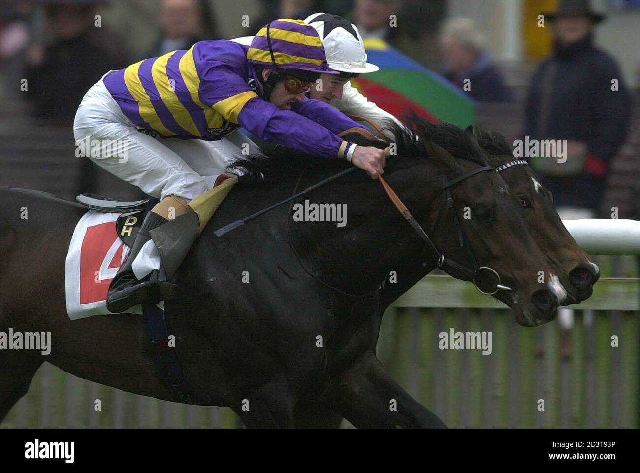 Heretic, Nummer 4, am nächsten an der Kamera, geritten von David Harrison gewinnt die E.B.F George Colling Maiden Stakes von Future Flight, geritten von Michael Hills nach einer Anfrage Stewards bei Newmarket Races. Stockfoto