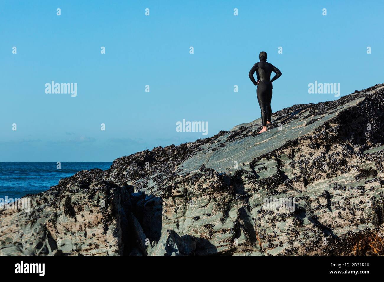 Frau in einem Neoprenanzug auf Felsen mit Blick auf das Meer in Cornwall, Großbritannien Stockfoto