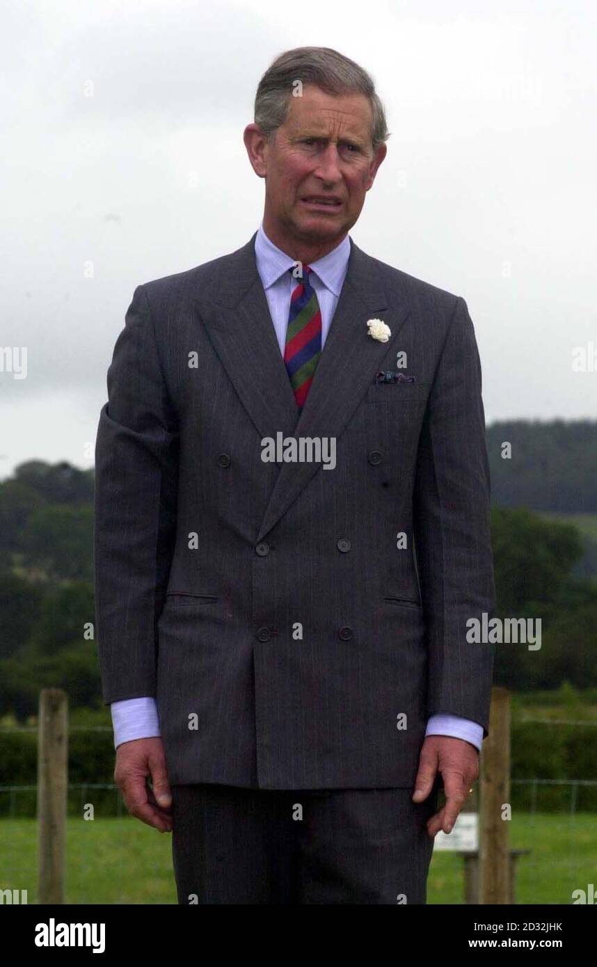 Der Prinz von Wales spielt während eines Besuchs in Llandrillo, Nordwales, im Rahmen seiner traditionellen dreitägigen Tour durch das Land Schüsseln. Stockfoto