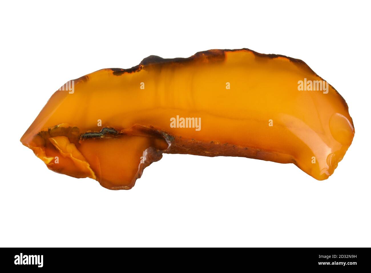 Stück natürliches Bernstein isoliert auf weißem Hintergrund, Makrofoto, Nahaufnahme Stockfoto