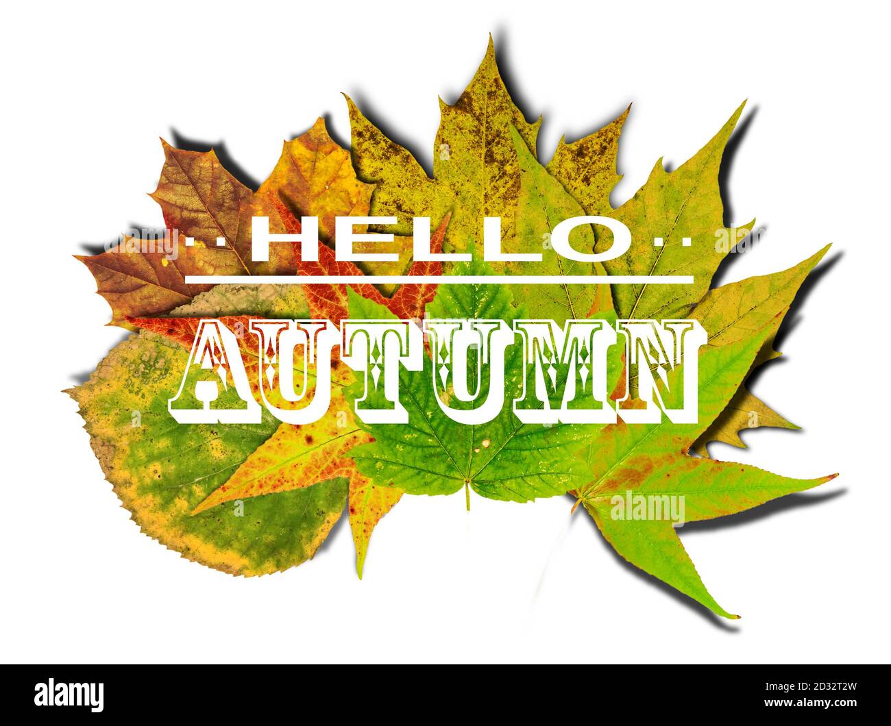 November und Herbst Hintergrund Stockfoto