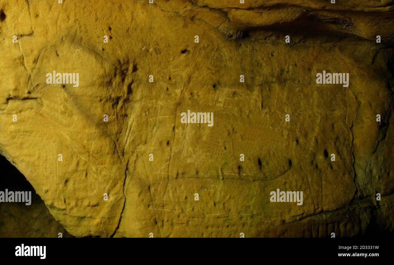 Ein Pferd wird in den Höhlen von Cresswell Crags in der Nähe von Worksop in Nottinghamshire abgebildet, was vermutlich die erste Höhlenkunst der Eiszeit in Großbritannien ist. Dr. Paul Pettit machte die erste Entdeckung der 12,000 Jahre alten Gravuren in den Höhlen im April 2003. Stockfoto