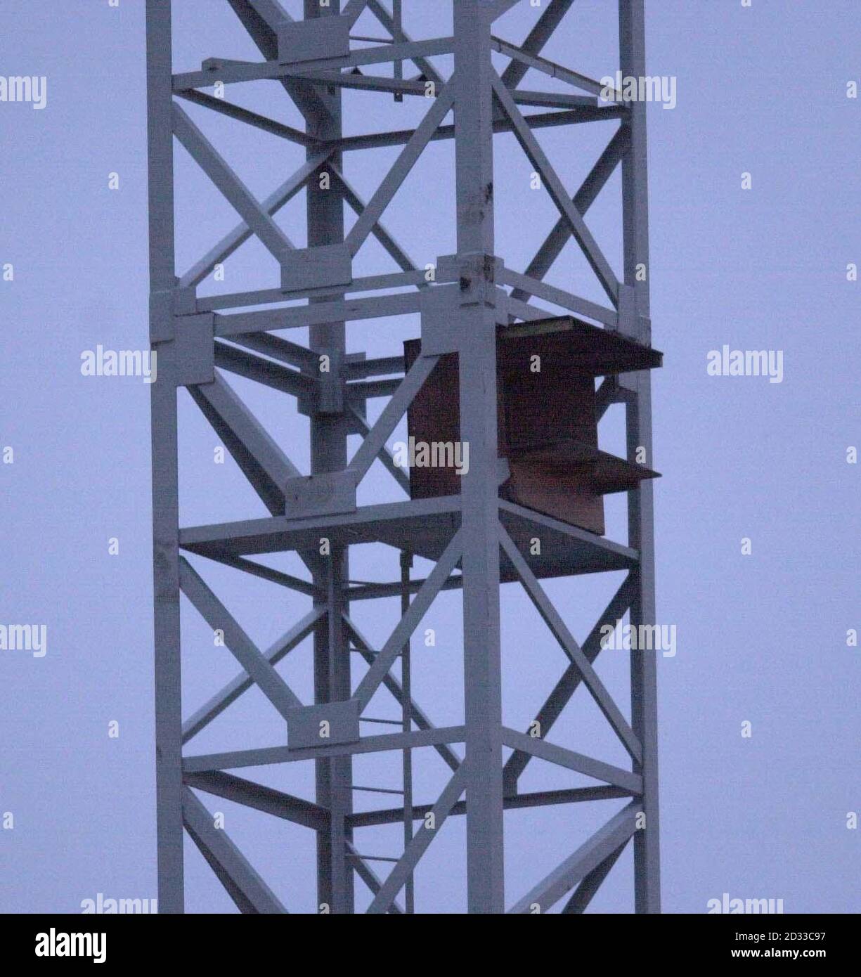 Der neu errichtete Nistturm soll ein Paar Wanderfalken im Battersea Power Station im Süden Londons beherbergen. Die Vögel sind das einzige Brutpaar Wanderfalken, von dem bekannt ist, dass sie in der Hauptstadt erfolgreich genistet haben, und Ornithologen hoffen, dass die Vögel in die provisorische Stahlkonstruktion umziehen werden, anstatt aus dem Gebiet zu fliehen, das als Freizeitzentrum neu entwickelt wird. Stockfoto