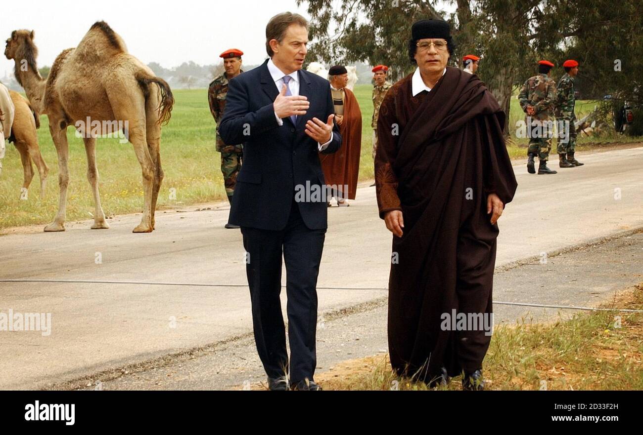 Premierminister Tony Blair (L) und der libysche Führer Oberst Muammar Gaddafi schlendern während einer einstündigen Pause ihrer Gespräche gemeinsam zu einem separaten Zelt für ein Mittagessen in Tripolis. Stockfoto