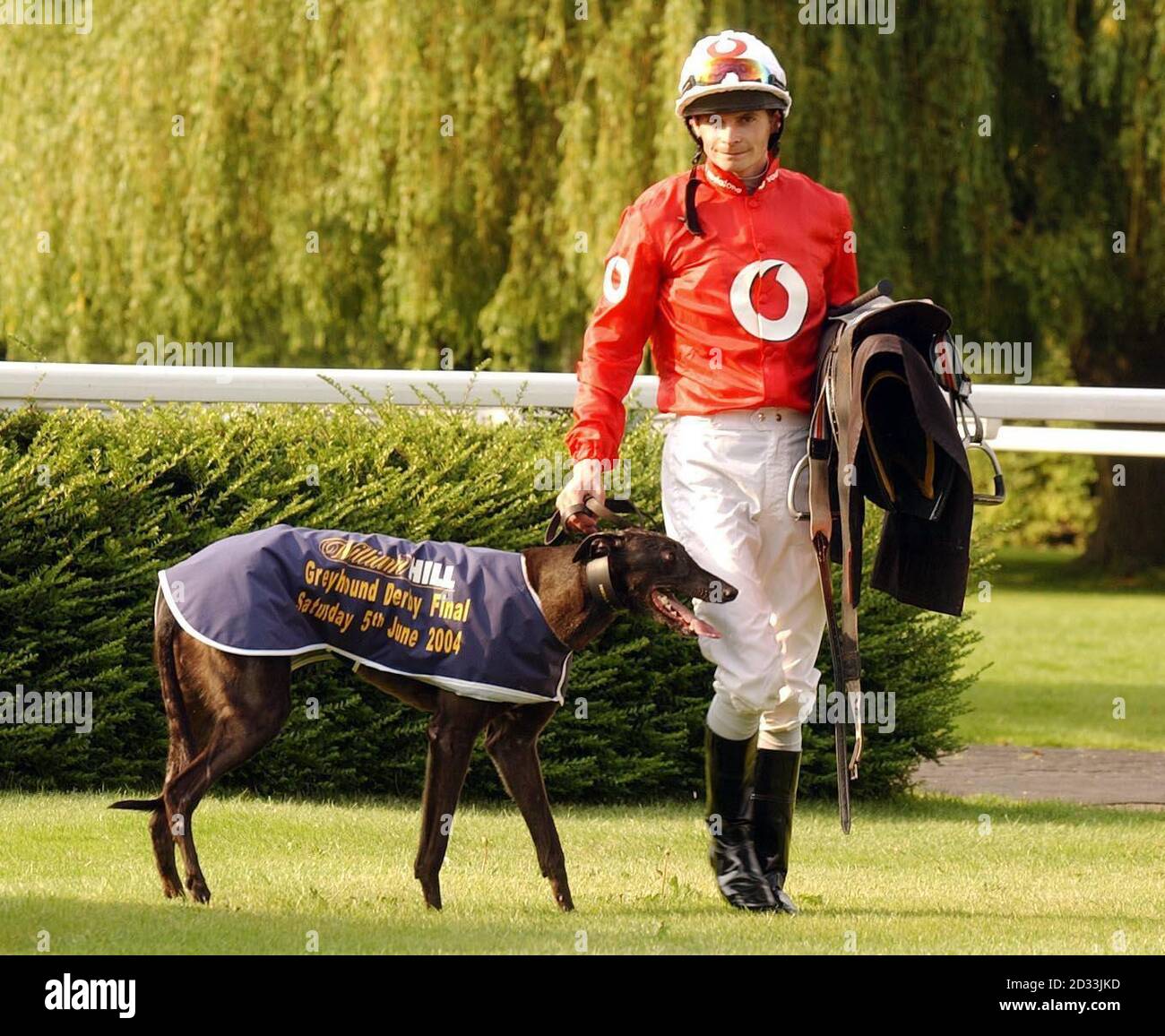 Greyhound 'Simply Fabulous' mit Jockey Fergus Sweeney, der auf dem ausgetretenen Rennpferd 'Tiny Tim' ritt, als das Paar auf einem zweifurligen Kurs auf der Rennbahn Kempton Park fuhr. Stockfoto