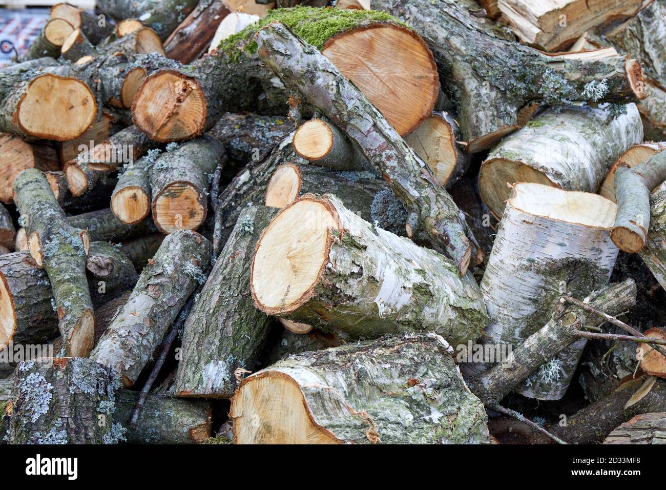 Brennholz, geschnitten aus Baumstämmen und Ästen, in einem Haufen Stockfoto