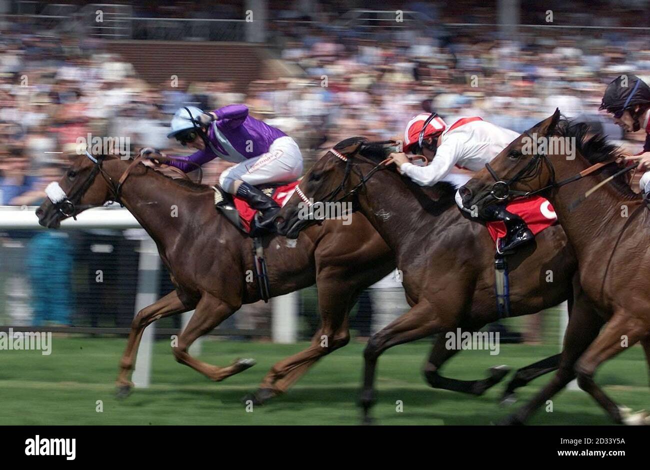Speed Cop geritten von Martin Dwyer (L) kommt in den Stan James St Hugh's Stakes Rennen vor Wimple von BrettDoyle in Newbury geritten zu gewinnen. Stockfoto