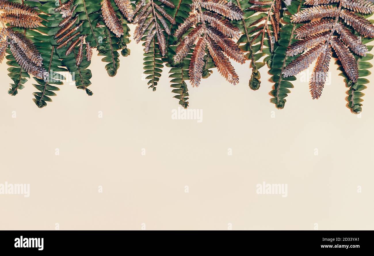 Natürlicher grüner Farn und goldene Blätter auf hellem Bienchen-Papier. Hochzeit, Weihnachten Hintergrund mit freiem Kopieplatz Stockfoto