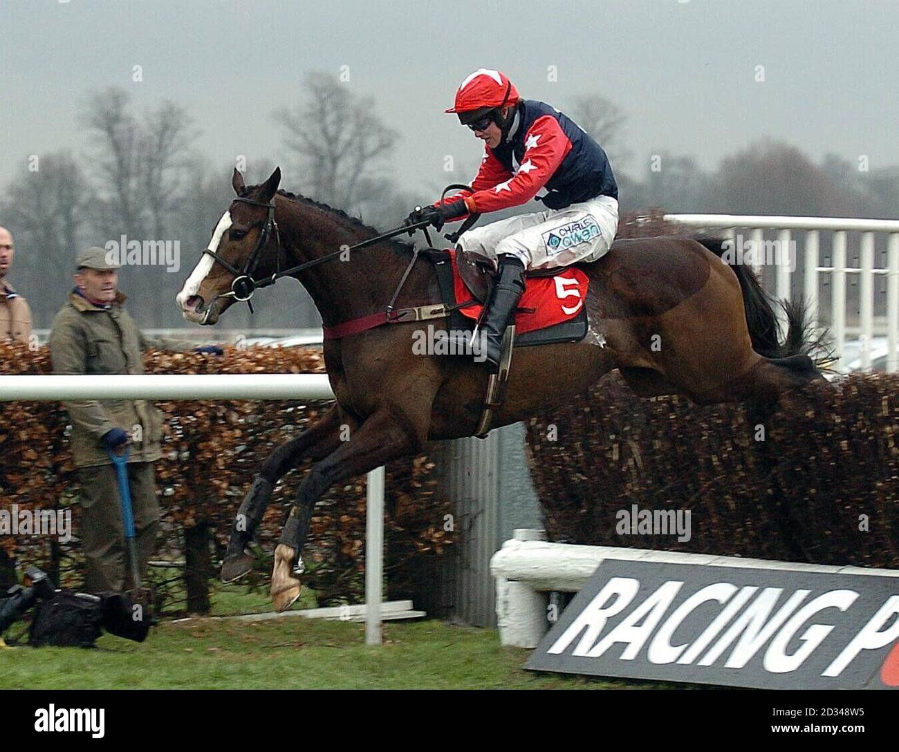 Limerick Boy von Sam Thomas, springt den letzten Zaun, als er geht auf die Favoriten Racing Pendil Novices' Chase zu gewinnen. Stockfoto