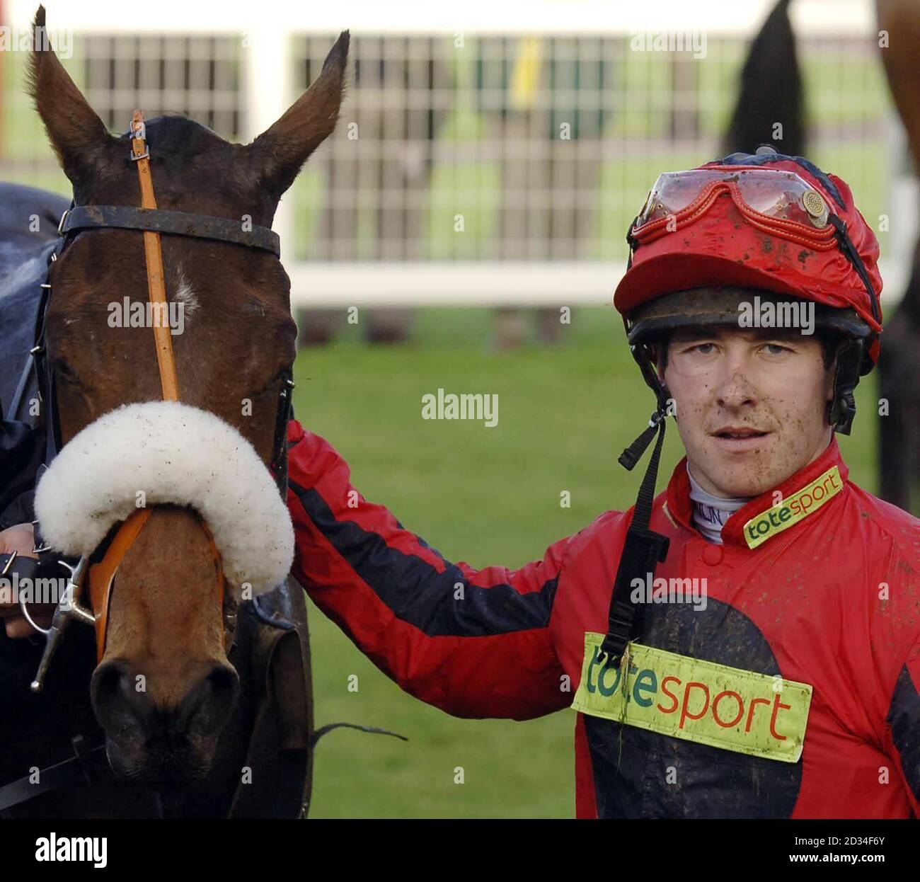 Barnbrook Empire und Jockey Ollie McPhail nach dem Gewinn der Scarvagh House Stud PTA Juvenile Novices' Hurdle auf der Prestbury Park Racecourse, Cheltenham, Dienstag, 25. Oktober 2005. DRÜCKEN Sie VERBANDSFOTO. Bildnachweis sollte lauten: Barry Batchelor/PA. Stockfoto