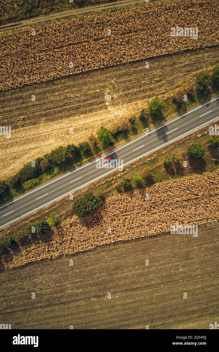 Einzelnes rotes Auto auf der Straße, Draufsicht von Drohne pov. Luftaufnahmen von Fahrzeugen auf der Straße durch die Landschaft im Sommer. Stockfoto