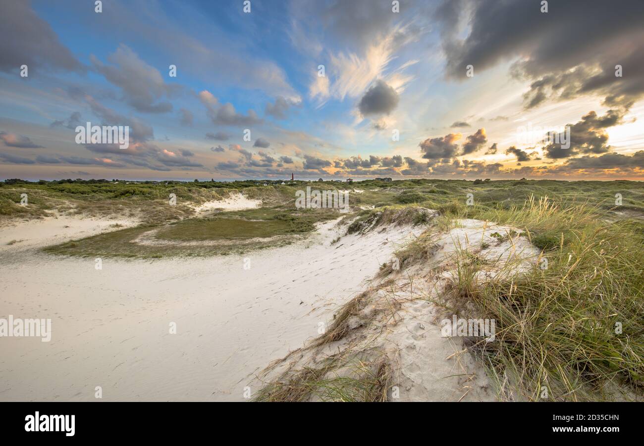 Dünenlandschaft auf der niederländischen Watteninsel Schiermonnikoog Stockfoto