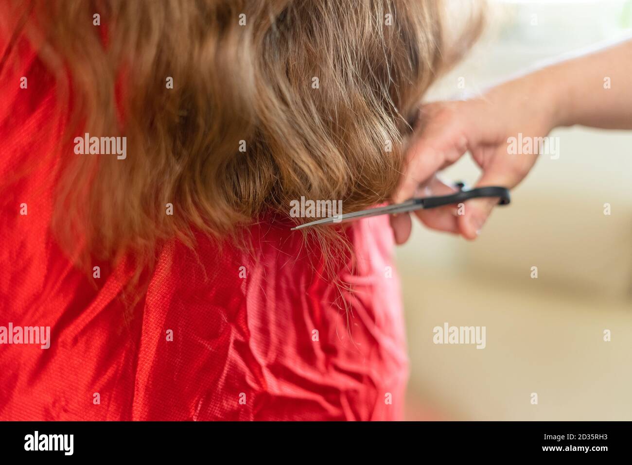Nahaufnahme von Friseurhänden, die braune Haare zu Hause schneiden. Professionelle Stylisten schneiden Haare Spliss. Stockfoto