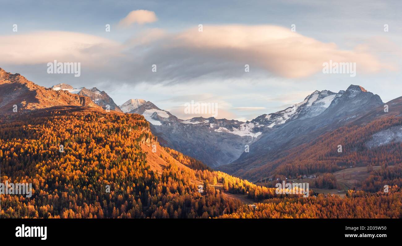 Bergsatte am Silsersee in den Schweizer Alpen. Farbenfroher Wald mit oranger Lärche. Schweiz, Region Maloja, Oberengadin. Landschaftsfotografie Stockfoto