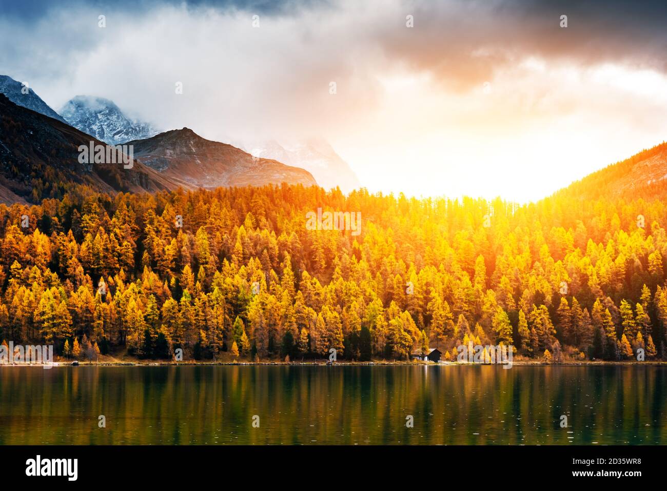 Der Silsersee in den Schweizer Alpen. Farbenfroher Wald mit oranger Lärche. Schweiz, Region Maloja, Oberengadin. Landschaftsfotografie Stockfoto