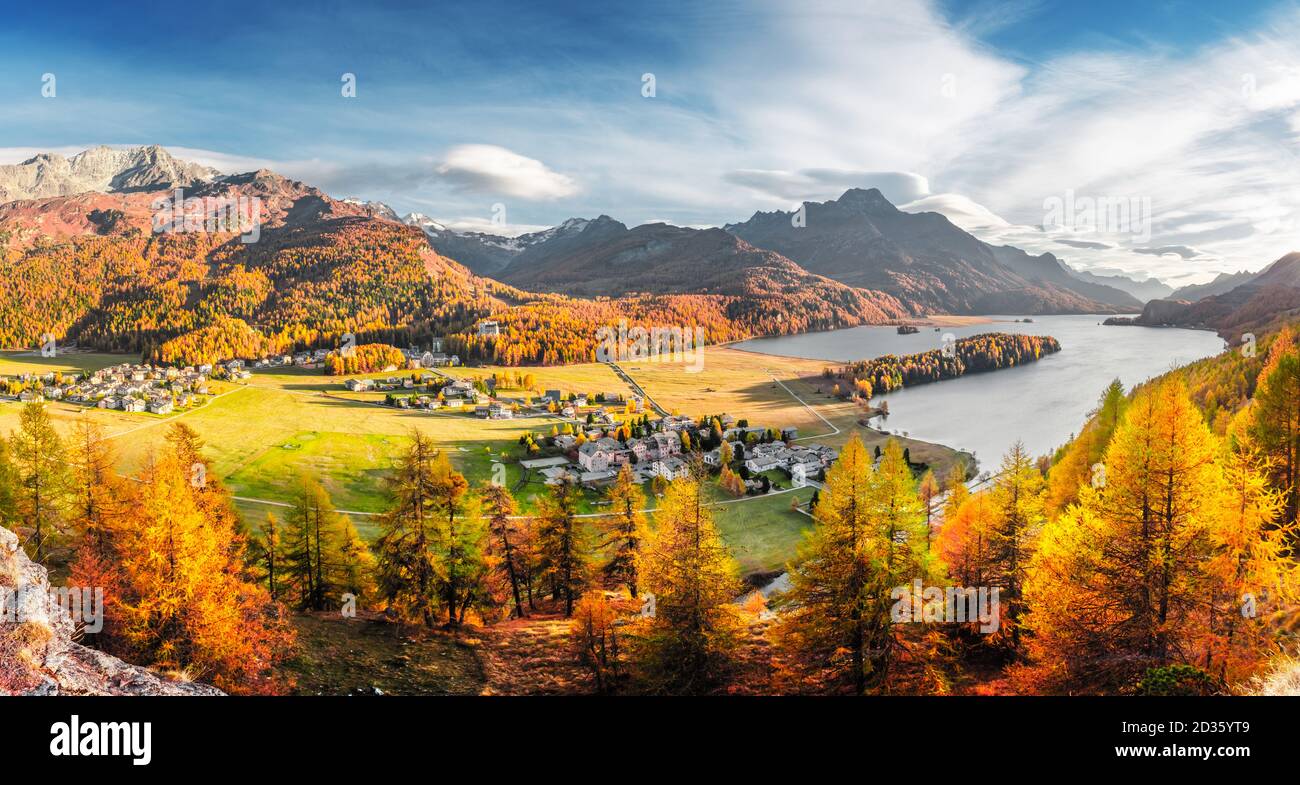 Panorama von Sils Dorf und Sils See (Silsersee) in Schweizer Alpen. Farbenfroher Wald mit oranger Lärche. Schweiz, Region Maloja, Oberengadin. Landschaftsfotografie Stockfoto