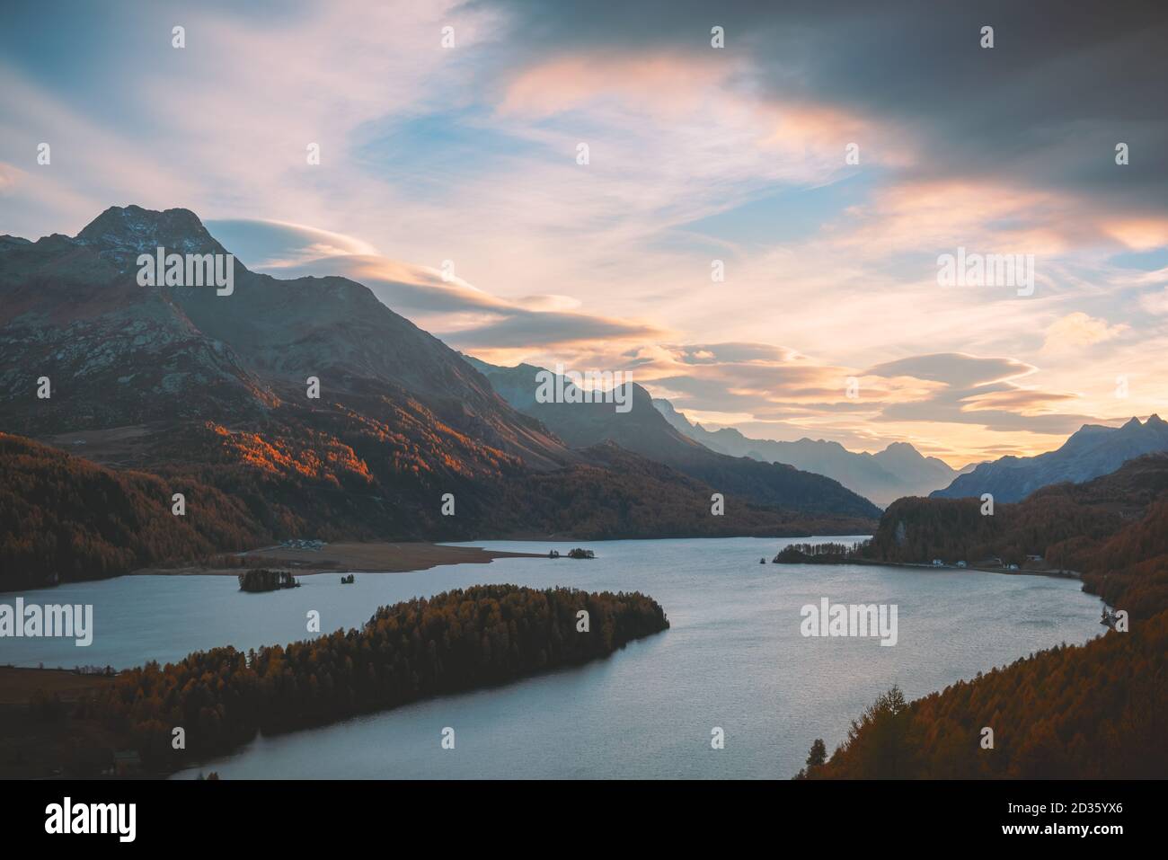 Luftaufnahme auf Herbst Silsersee (Silsersee) in den Schweizer Alpen. Bunte Wald mit orange Lärche. Schweiz, Maloja Region Oberengadin. Landschaftsfotografie Stockfoto