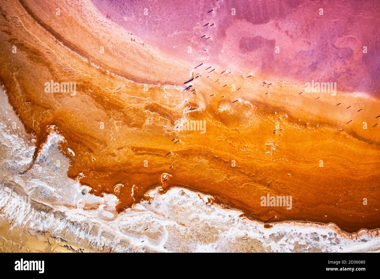 Abstrakte Ansicht von rosa See Salzwasser von Drohne. Kreative Natur Farbkonzept. Draufsicht Hintergrund Stockfoto