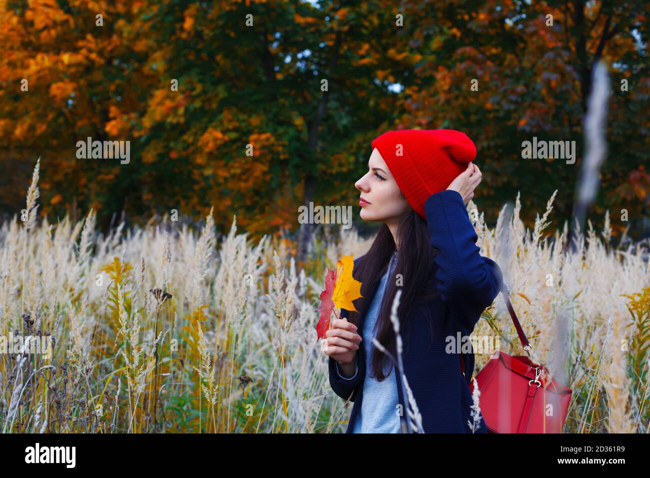 Schöne kaukasische Frau, die auf dem Feld in der Nähe eines bunten Herbstwaldes steht und zur Seite schaut. Stockfoto