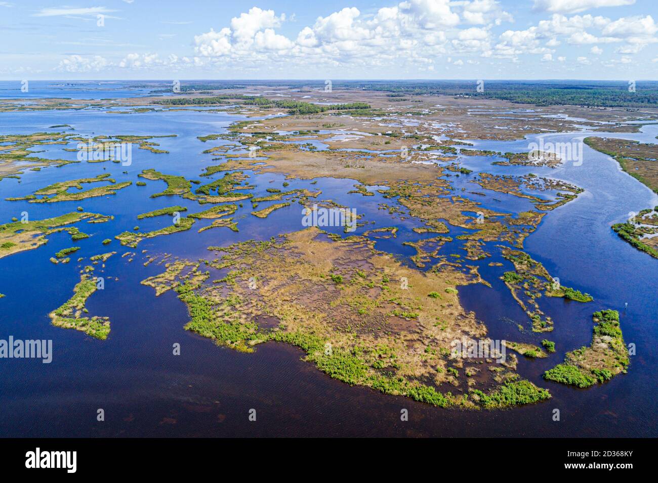 Florida, Hernando Beach, Golf von Mexiko, das Wasser der Wasserbucht von Reice Creek, Mangroveninseln, natürliche Landschaft, Feuchtgebiete, Vogelperspektive oben, Besuch Stockfoto