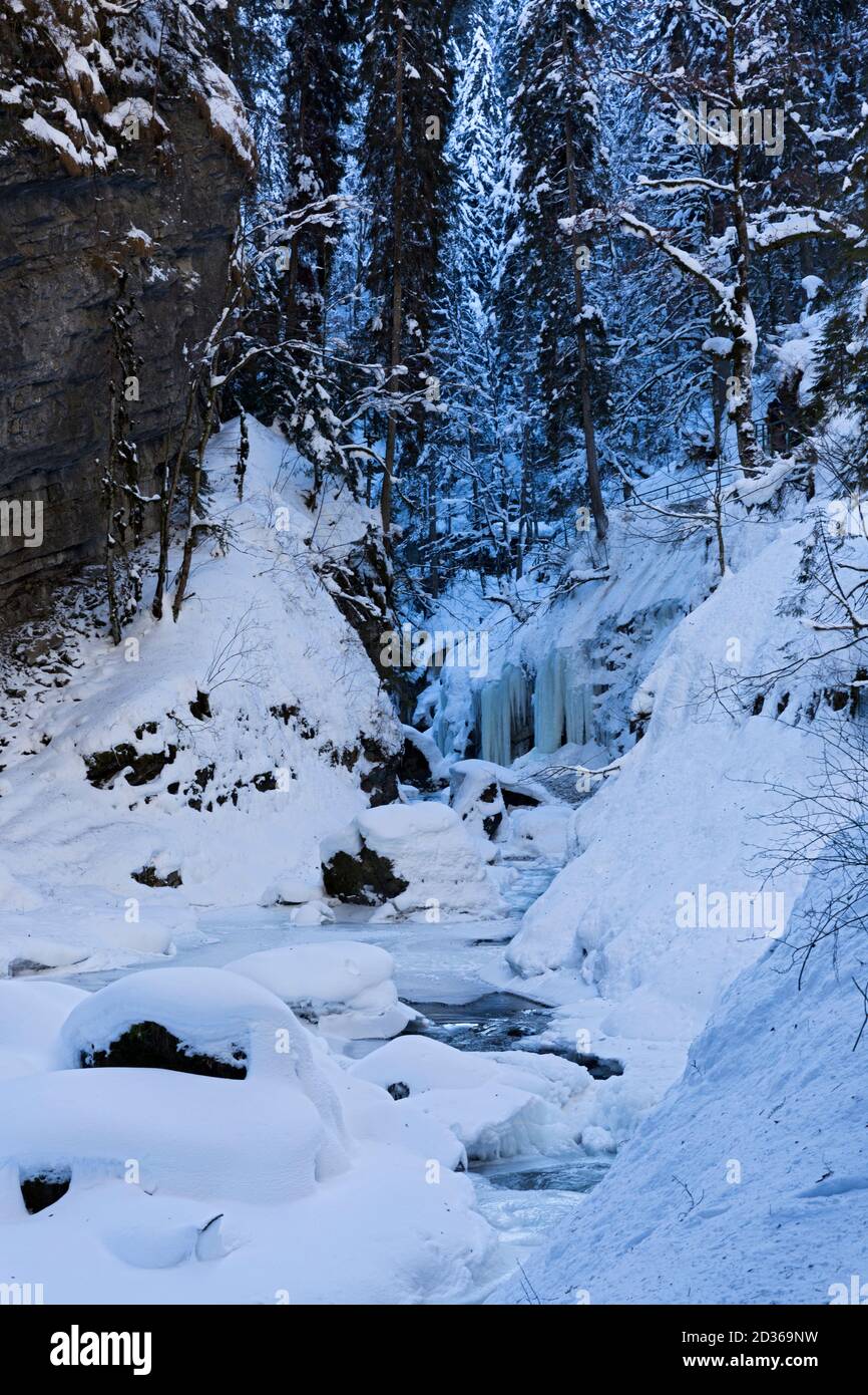 Breitachklamm, vereist, Oberstdorf, Allgäu Stockfoto