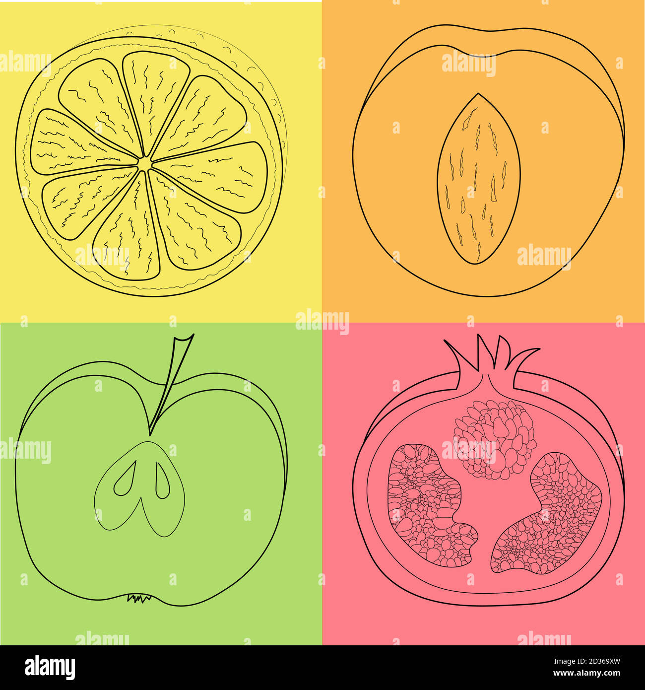 Bunte Frucht Set aus Zitrone, Pfirsich und Granatapfel in gelb, rot, orange und grün Box Stock Vektor