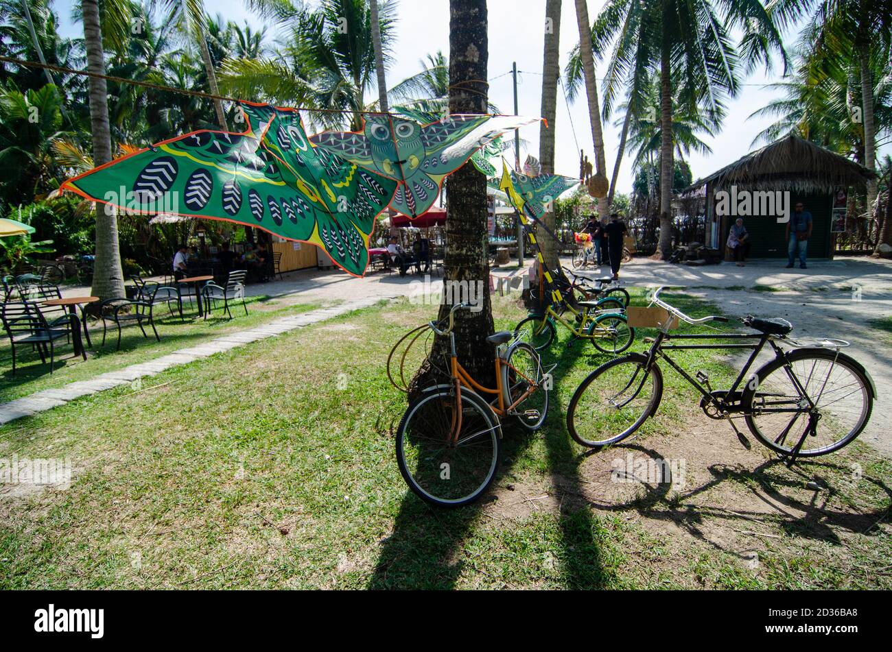 Penaga, Penang/Malaysia - Mär 14 2020: Fahrrad und Drachen in grüner Öko Kokosnussfarm. Stockfoto