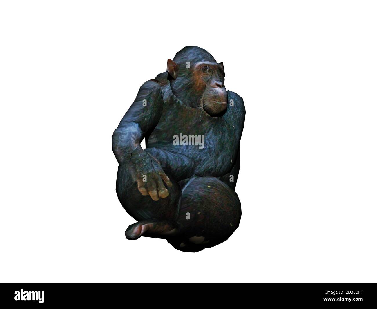 Alter Gorilla mit schwarzem Fell Stockfoto