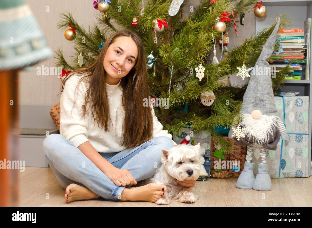 Schöne Frau und Hund sitzen in der Nähe weihnachtsbaum Stockfoto