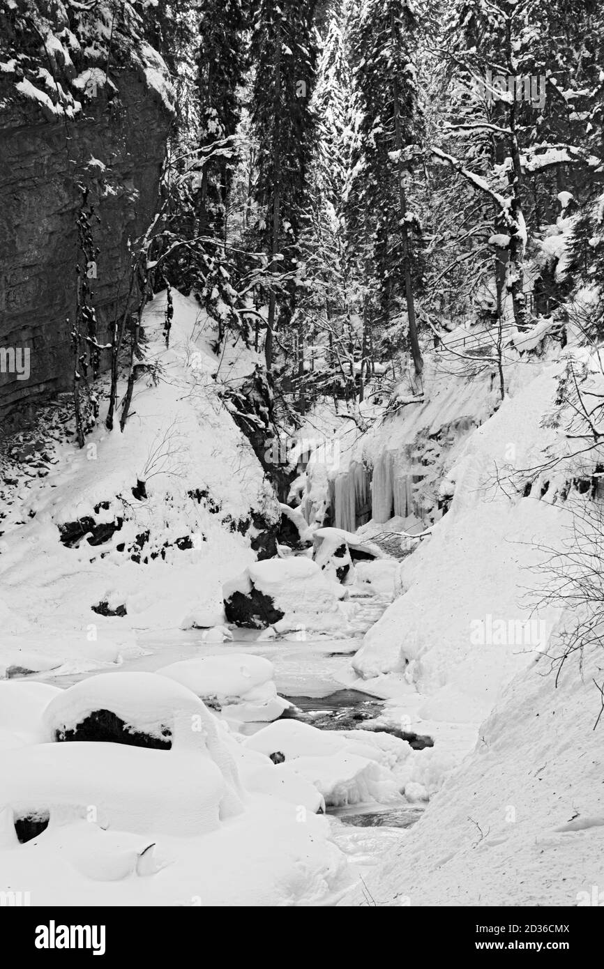 Breitachklamm, vereist, Oberstdorf, Allgäu Stockfoto