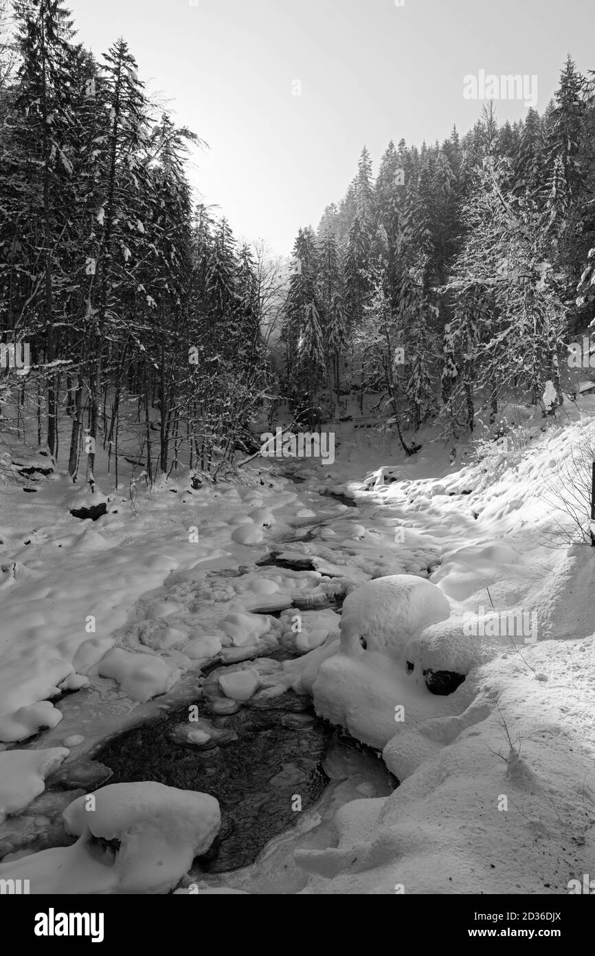Breitachklamm, Gebirgsbach, verschneit, Oberstdorf, Allgäu Stockfoto