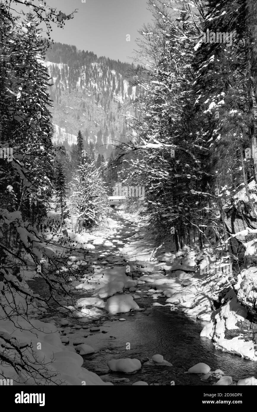 Breitachklamm, Gebirgsbach, verschneit, Oberstdorf, Allgäu Stockfoto