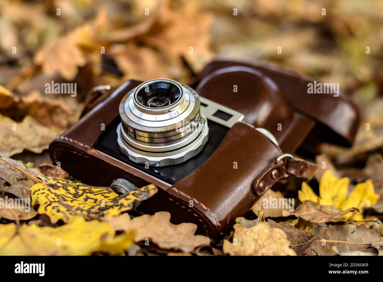 Vintage Foto Kamera auf gefallene Laub im Herbst Park. Stockfoto