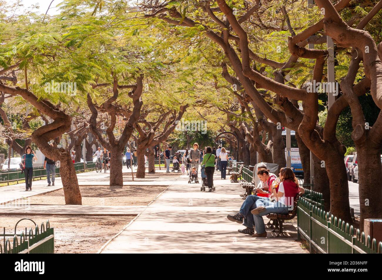 Rothschild Boulevard, Tel Aviv, Israel Stockfoto