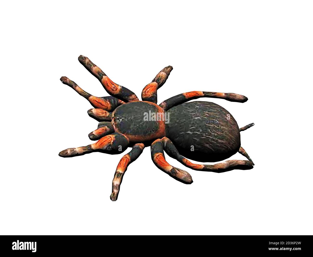 Fat Spider Stockfotos und -bilder Kaufen - Alamy