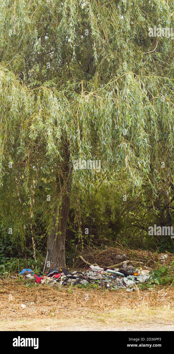 Papierkorb unter Baum vertikales Foto. Stockfoto