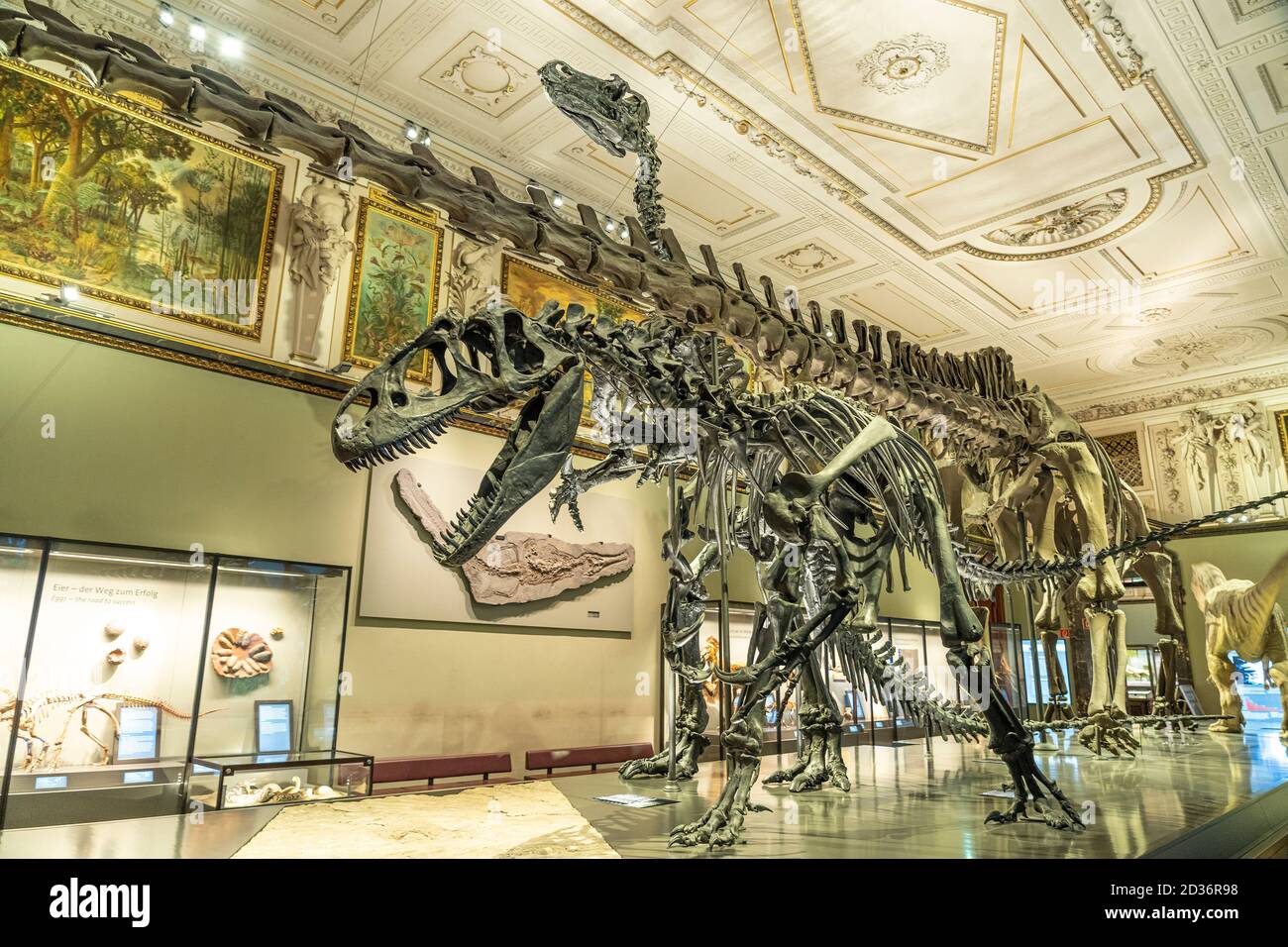 Dinosaurier Skelett im Sauriersaal des Naturhistorischen Museum Wien,  Österreich, riEuropa, Natural History Museum, Wien, aus Stockfotografie -  Alamy