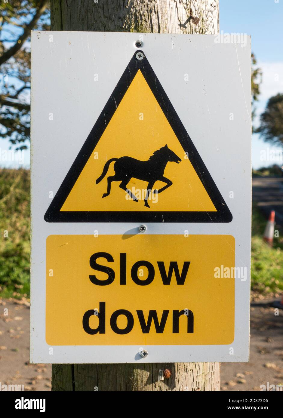 Dreieckiges Warnschild oder beachten Pferde Fahren Sie langsamer. Stockfoto